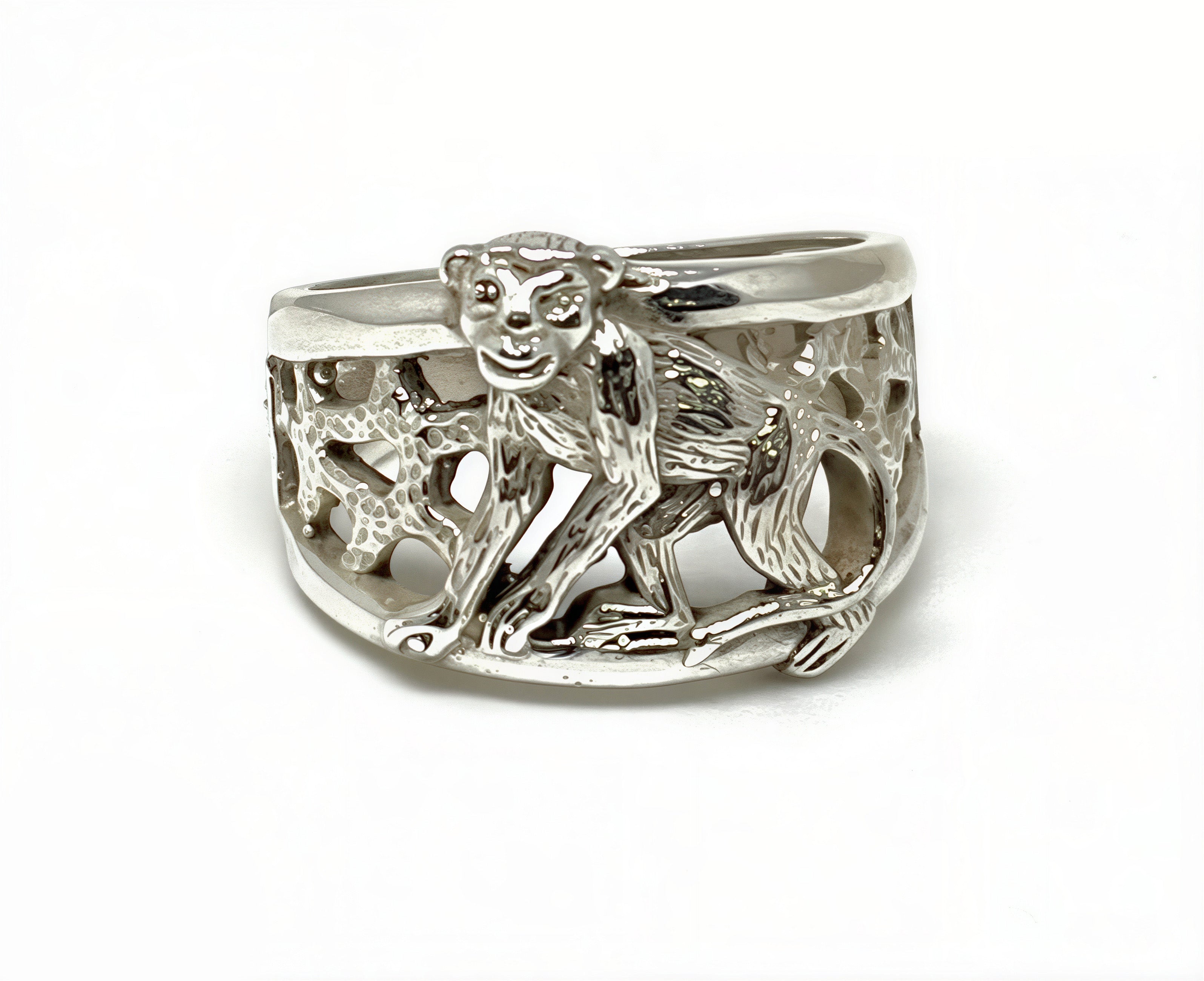Apa-ring